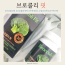 새싹약국 | 설포라판 담은 온가족 브로콜리 새싹 센트럴팜 브로콜리 핏 후기