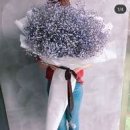 조윤주시인의꽃갤러리