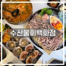 수산물백화점 | 광주 양산동 횟집 수산물회백화점 제철 전어회 맛집