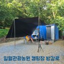 블루비치 관광농원 | 반려견동반 일월관광농원캠핑장 방갈로 후기