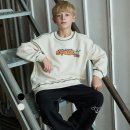 플라잉스톤 이미지