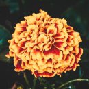 수도세탁소 이미지