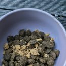 토담스펫 이미지