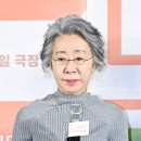 도그인 그레이 이미지