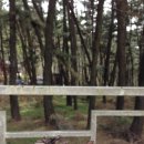 오투산장 이미지