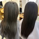 오페라 미용실 | 대구 침산동 미용실 추천 긴머리 시세이도 클리닉 효과 후기 [살롱드수장]