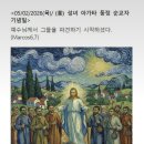 아가다 - 1078 | 아가다