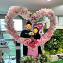 중식당 차홍 | [이연복쉐프'목란'후기]혼인신고+연희동&amp;연남동 데이트+유튜버'아뜰리에'만남+준오헤어+마곡나루'마부자...