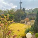 스테이율 이미지