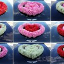 그랜드카서비스 이미지