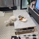 몽몽까까 이미지