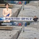 고가 단면 보일 만큼 주저앉았다..철재판 덧대고 끝? 이미지