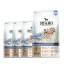 도그매니아 이미지