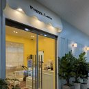 퍼피라떼 이미지