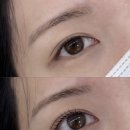 틴팅맨 | 외대 속눈썹펌 | 유지력 좋은 블랙틴팅펌 대만족후기 ‘플린하우스’