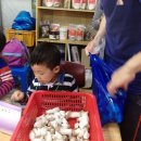 민성이 농장 이미지