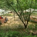 신동근린공원 이미지