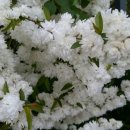 토평공원 이미지