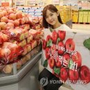 요즘과일