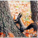 나루터로 27 (3) 이미지