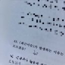 에이에스뮤직 | 11주차