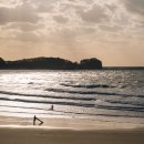 베이브리즈가족호텔 이미지