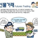 옵션(OPTION) 이미지