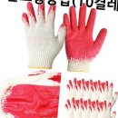 다올미르 이미지