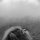 연필세밀화 이미지