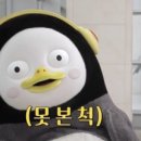 싱싱오징어바다의정부