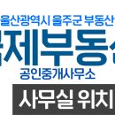 국제공인중개사무소 이미지