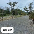 옥화포시즌캠핑장 이미지