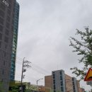 용천초등학교(병설) 이미지
