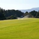 공항골프존 이미지