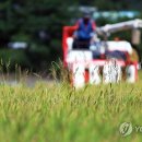 오대 이미지