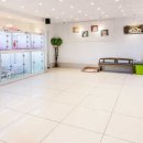 초코네 애견샵 이미지