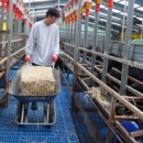 농장염소탕 이미지