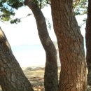 나로도바다 이미지