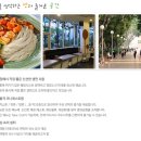 국수나무 이미지