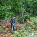 새로이농장 이미지