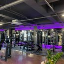 휘트니스 와이 이미지