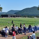 박지호농장 이미지