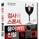 검사와 스폰서, 묻어버린 진실 (책보세) 15 이미지