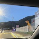 이디야 양주장흥점 | 서울 근교 자동차극장 | 양주 장흥자동차극장 이용 꿀팁 & 후기