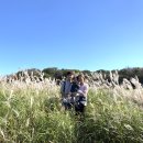 로니의 기차 이미지