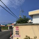 금화민박 이미지