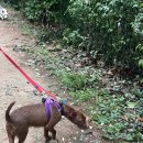 룰루랄라 이미지