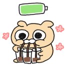 군자애견 이미지