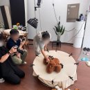 아르테자이(아)경로당 | 러뷰스튜디오 안양 50일 사진 솔직후기(내돈내산)