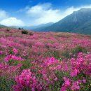 아영면 오산마을 이미지